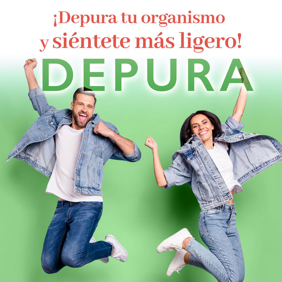 PLAN RESET DEPURA