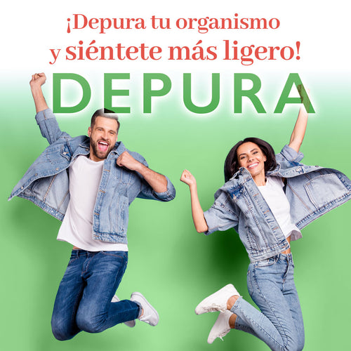 PLAN RESET DEPURA