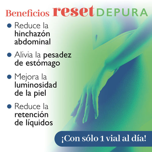 PLAN RESET DEPURA