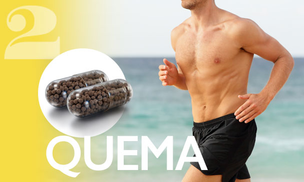 Fase 2: QUEMA