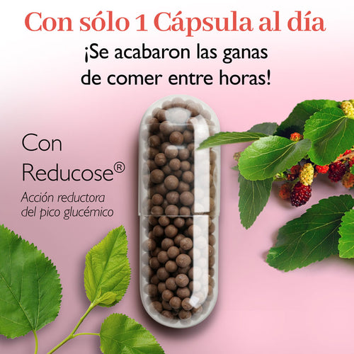 PLAN RESET GLUCOSTOP