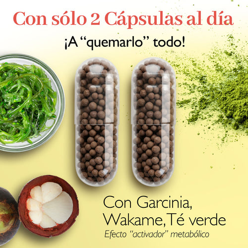 PLAN RESET QUEMA