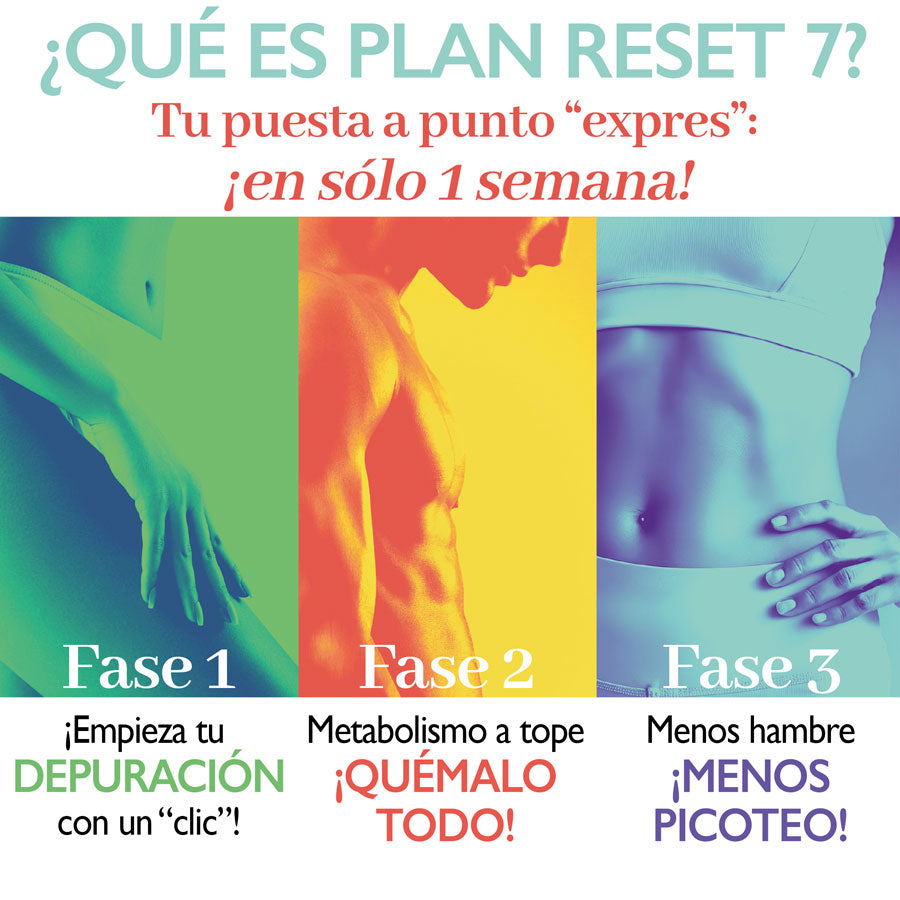 PLAN RESET 7