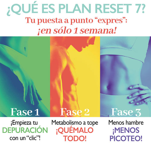 PLAN RESET 7