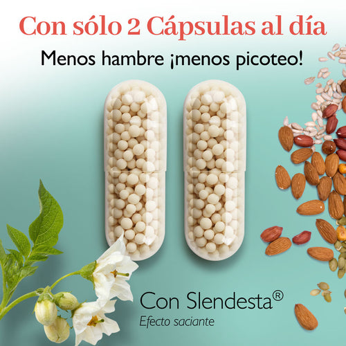 PLAN RESET SACIA